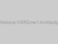 Histone H3R2me1 Antibody